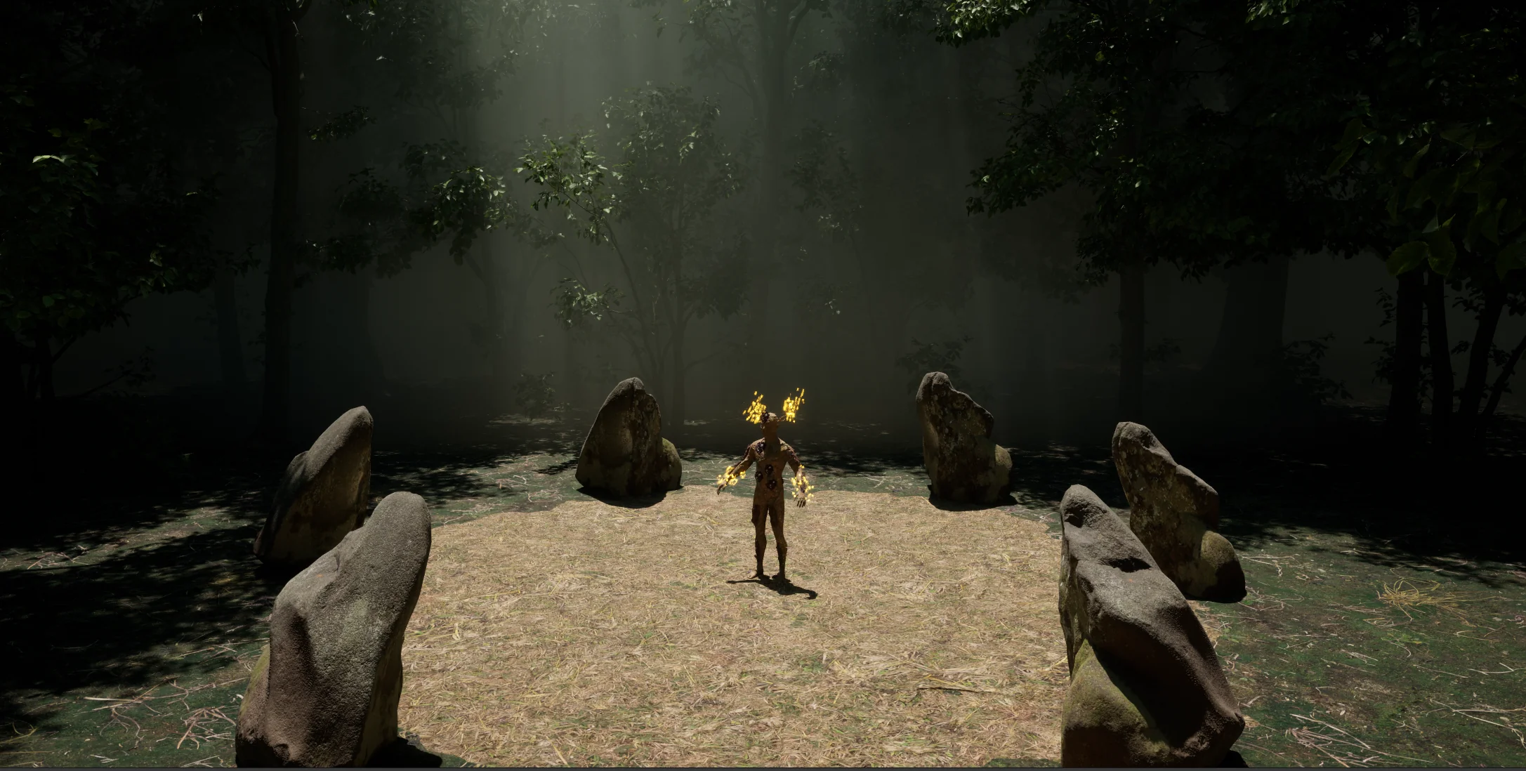 Woods environment in Unreal Engine 5